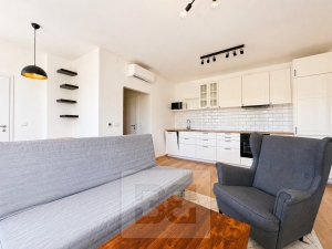 Pronájem bytu 2+kk 50 m², Brno - Ponava