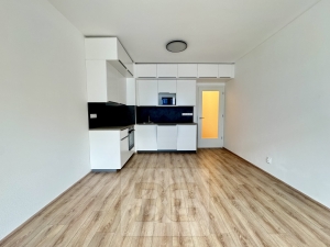 Pronájem bytu 1+kk 35 m², Brno - Zábrdovice