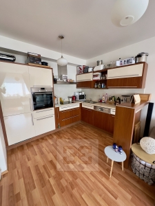 Beautiful, bright 2+kk apartment with a terrace in the BOTANICA project
