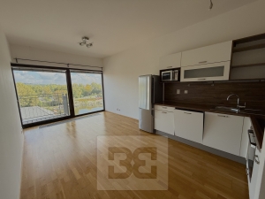 Aparment for rent 2+ kk 57m²  in Prague Marina, Prague 7 Holešovice