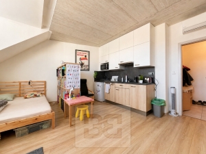 Pronájem novostavby bytu 1+kk, krásný moderní prostor s klimatizací v klidné části Brna