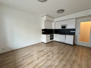 Pronájem bytu 1+kk 35 m², Brno - Zábrdovice