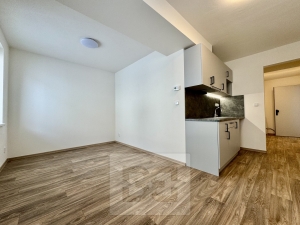 Pronájem byty 1+kk, 30 m² - Střelice