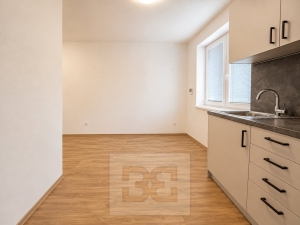 Rent flats 2+1 50 m², Střelice