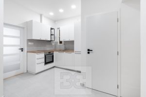 Pronájem bytu 3+1 66 m², Praha - Žižkov