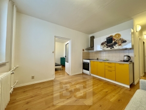 Pronájem byty 1+1, 36 m² - Brno - Řečkovice