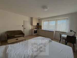 Pronájem bytu 1+kk 27 m², České Budějovice 6