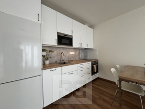 Pronájem bytu 2+kk 55 m², Brno - Sadová