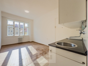 Rent flat 1+1 47 m², Praha - Nové Město