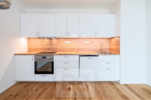 Pronájem bytu 2+kk 55 m², Praha - Radlice