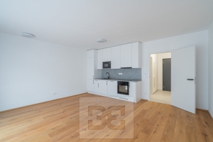 Rent flats 1+KT 43 m², Praha - Košíře