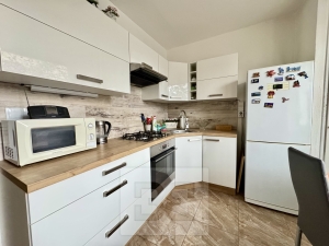 Rent flats 1+1 38 m², Brno - Bystrc