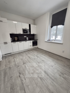 Pronájem bytu 1+1 45 m², se zahradou 100 m² - Mělník