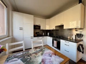 Rent flats 2+1 62 m², Brno - Řečkovice