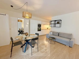 Pronájem bytu  1+kk, 40 m² - Praha - Žižkov