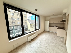 Pronájem bytu 1+kk, 40 m² - Praha - Karlín