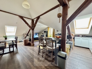 Rent flats 3+KT 100 m², Brno - Horní Heršpice