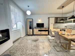 Pronájem bytu 3+kk 80 m², Brno - Černá Pole