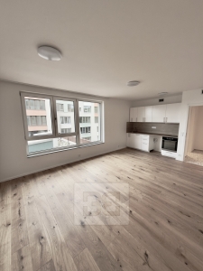 Apartment for rent 1+kk 37 m², Prague - Radlice