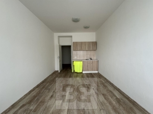 Apartment 1+kk - Smíchov, Radlická St.