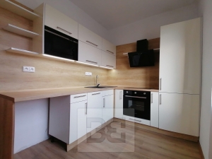 Rent flats 1+1 40 m², Ostrava - Poruba