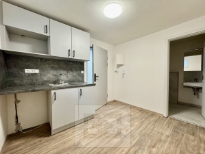 Pronájem ordinace, kanceláře, fyzio ordinace, 16 m² - Střelice