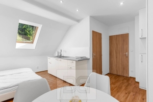 Rent flats 2+KT 38 m², Velké Hamry