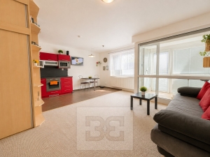 Pronájem bytu 1+kk 40 m², Brno - Bystrc