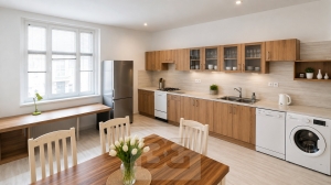 Pronájem bytu 3+1 103 m², Karlovy Vary - Rybáře