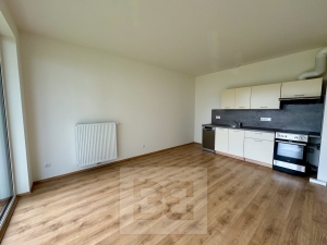 Renting a 2+kk apartment with a garden