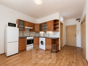 Pronájem bytu 1+1 36 m², Vyškov-Předměstí