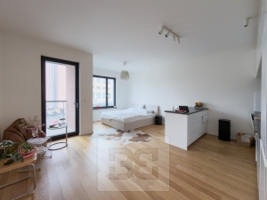 Pronájem bytu 1+kk 42 m², Praha - Holešovice