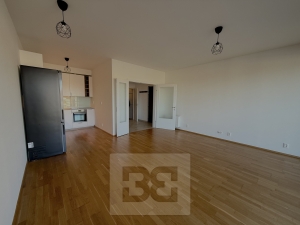 Pronájem bytu 3+kk 90 m², Praha - Holešovice