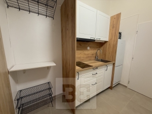 Apartment for rent 2+1 38 m², Praha - Žižkov
