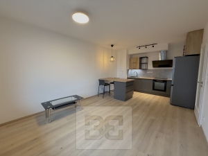 Apartment for rent 2+Kk, 46 m² - Praha - Žižkov