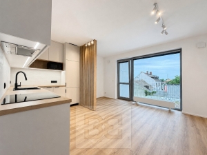 Pronájem bytu 1+kk 31 m², Brno - Horní Heršpice