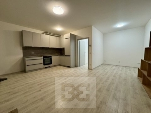 Beautiful, spacious apartment 1+kk at Wolkerova St.