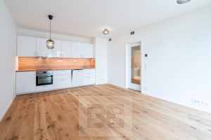 Pronájem bytu 2+kk 55 m², Praha - Radlice