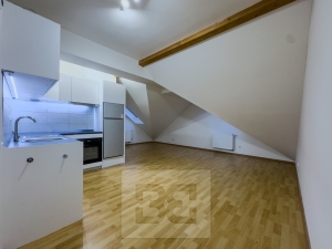 New renovated 1-bedroom flat in Hostavice