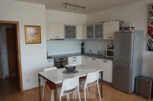 Apartment for rent 1+Kk, 54 m² - Praha - Holešovice