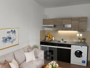 Pronájem bytu 1+kk , 21 m², nám. Přátelství-Prachatice