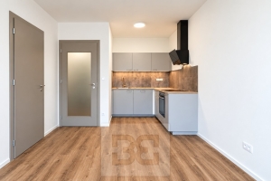 Rent flats 2+KT 41 m², Praha - Černý Most