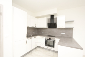 Spacious 2+kk apartment with terrace and garage in Modřany, K Vystrkovu street