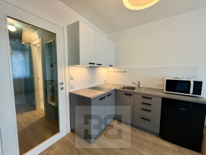 Pronájem bytu 1+kk 25 m², Praha - Strašnice