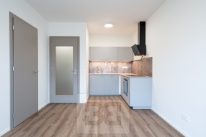 Pronájem bytu 2+kk 41 m², Praha - Černý Most