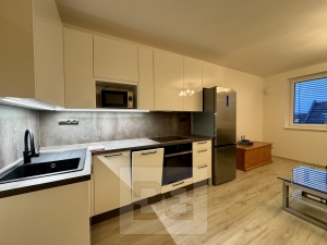 Rent flats 2+KT 40 m², Brno - Černovice