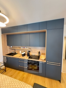 Apartment for rent 1+kk, 32 m², 2x terrace - Prague - Strašnice