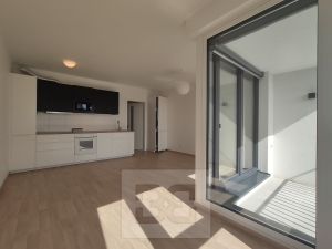 Pronájem bytu 1+kk 37 m², Praha - Žižkov