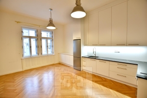 Luxurious 2BED in Prague 2 - New Town, Dittrichova street
