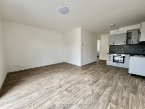 Pronájem byty 2+kk, 50 m² - Střelice